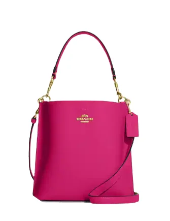 Coach Mollie Bucket Bag 22